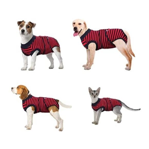 Kuoser Other - Kuoser Pet Recovery Onesies Suit NWT Size L